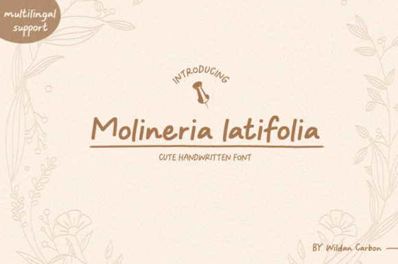 Discover the Charm of Molineria Latifolia Font