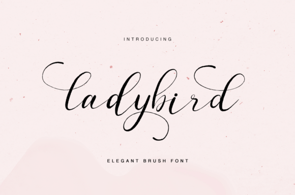 Enhance Your Web Design with Ladybird: A Versatile Script Font