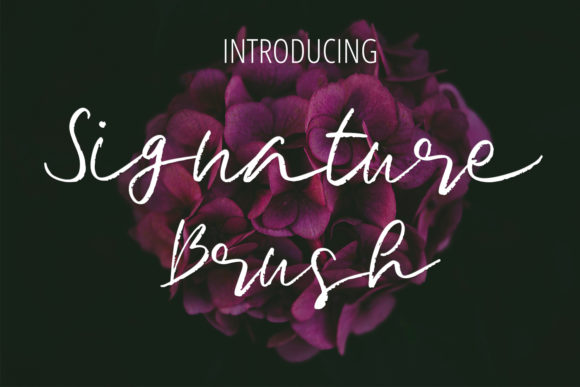 Signature Brush: Elevate Your Brand with a Delicate Handwritten Font